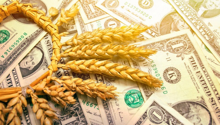 Главы Минобороны Турции и Украины обсудили возобновление зерновой сделки