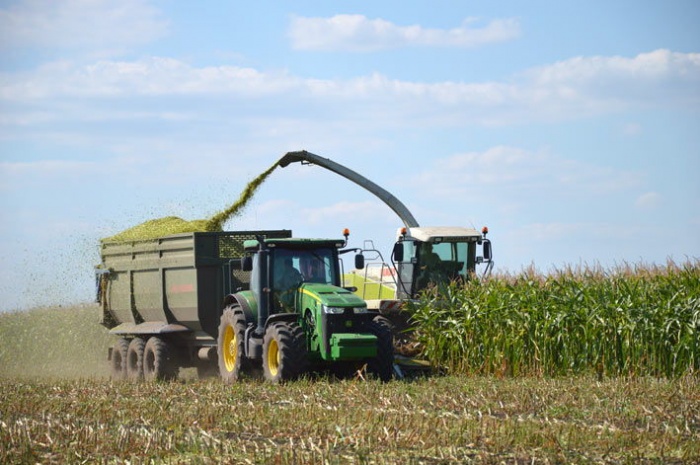 Кукуруза на силос: как контролировать сухое вещество при заготовке