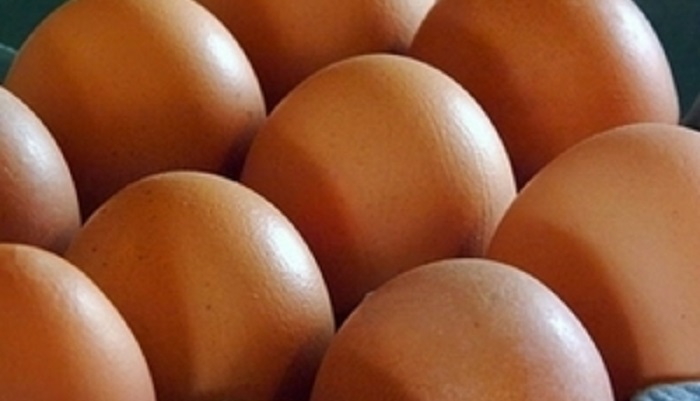 ПФ в Оренбургской области нарастит производство яиц в месяц до 10 млн штук