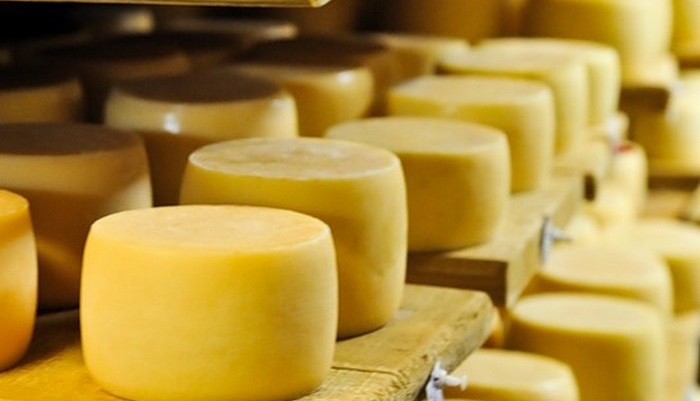 Сыр всему голова: эксперты РСХБ спрогнозировали рост производства сыра в России 