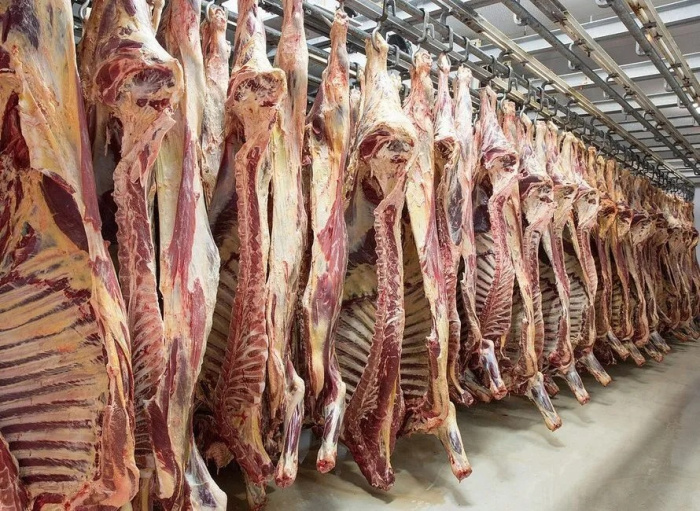 Портал МясоИнфо