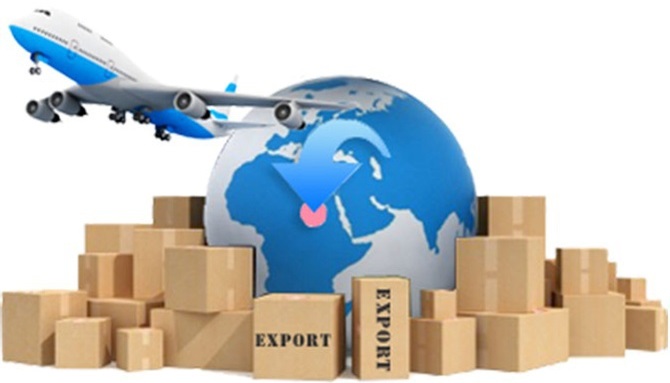 Экспорт агропромышленной продукции России: новые горизонты в 2025 году