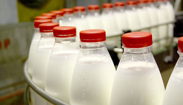 Нижегородский молочный завод №1 в 12 раз увеличил выпуск готовой продукции при финансовой поддержке Сбера 