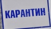 В двух районах Самарской области установили карантин из-за лейкоза КРС
