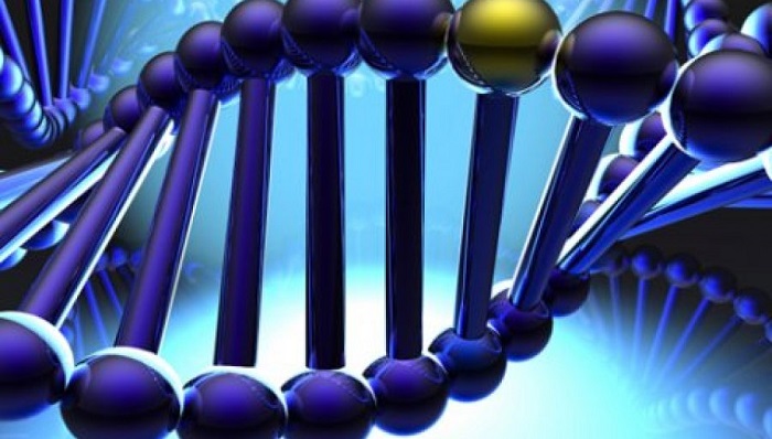 Генетическая экспертиза племенного молодняка КРС: новые горизонты для аграрного сектора Башкортостана
