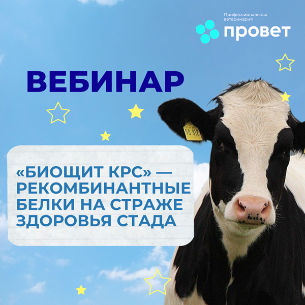 Вебинар «БИОЩИТ КРС» — рекомбинантные белки на страже здоровья стада!