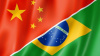 Китай закупает 50% экспорта бразильской говядины