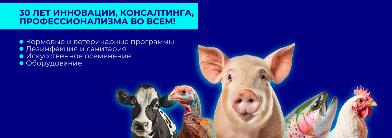 ПРОВЕТ