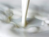 Как система доения и процедуры предварительного доения влияют на качество молока