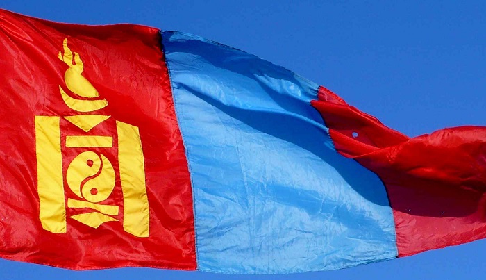 Монголия завершает работы по захоронению почти 7 миллионов погибших сельскохозяйственных живот...
