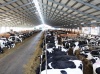 Руководство по надлежащей практике молочного животноводства: социально-экономическое управление