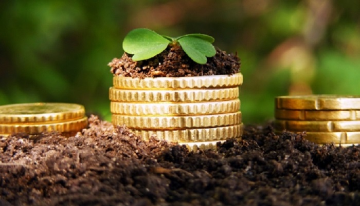 Минсельхоз предлагает изменить правила субсидирования приоритетных направлений