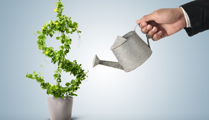 Инвестиции в агропромышленный комплекс: акцент на животноводство