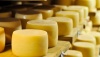 Самарский племенной завод «Дружба» запускает линию молодых итальянских сыров