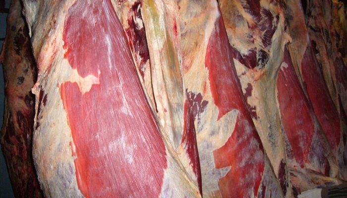 Строительство мясокомбината в Дагестане: новый этап развития агропромышленного комплекса