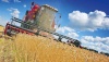 Минсельхоз: Россия может не достичь запланированного показателя по урожаю зерна