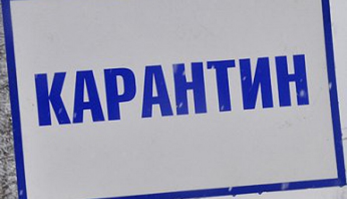 Введение карантина из-за лейкоза скота в Воротынском округе