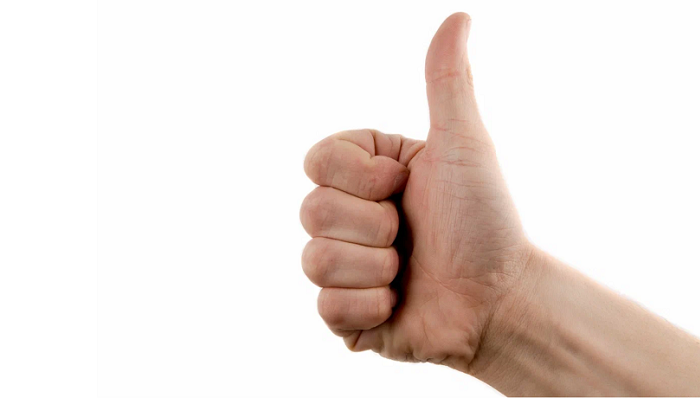 Конный завод «Восход» планирует получить рекордное количество жеребят