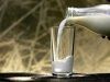 Влияние различных кормов на вкус молока