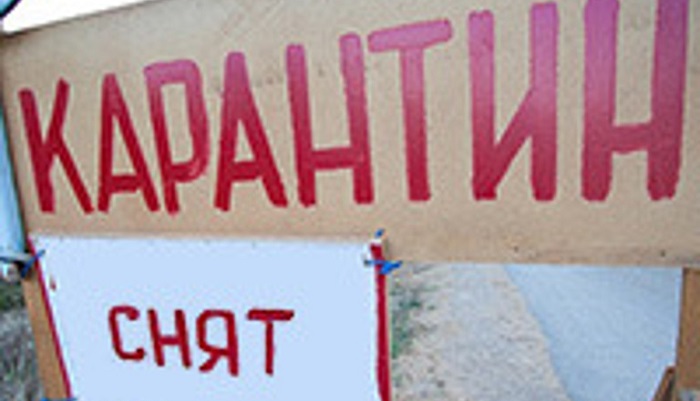 В Новосибирской области снят карантин, введенный из-за пастереллеза у крупного рогатого скота