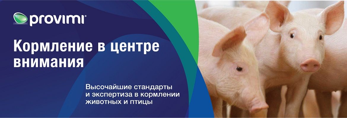 Провими