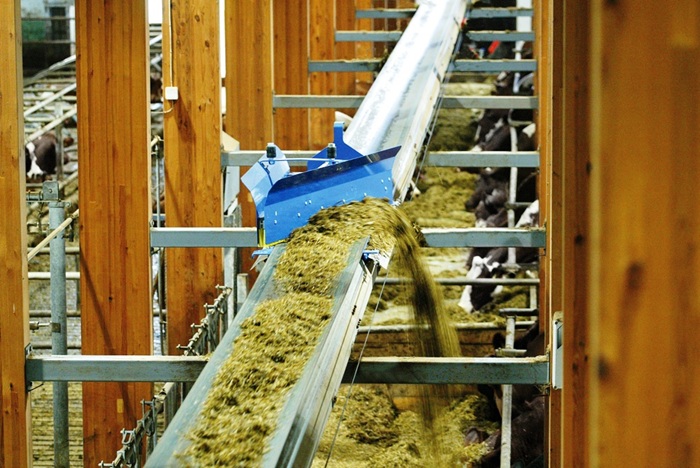 Влияние высокого уровня сырого жира в рационе коровы