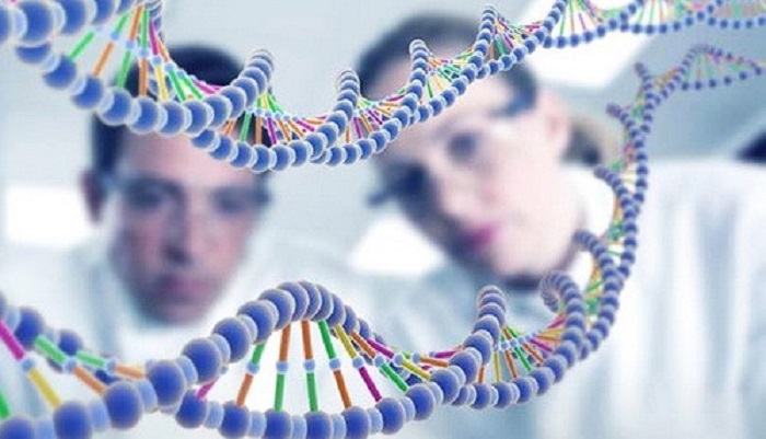 Генотипирование крупного рогатого скота в Ярославской области: шаг к устойчивому развитию агропромышленного комплекса