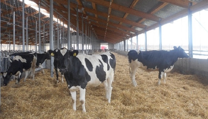 Развитие АПК в Тверской области: новое соглашение и социальные инициативы